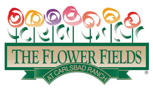 Shop the Flower Fields